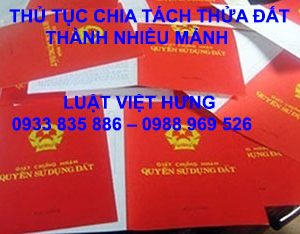 Thu Tuc Chia Cat Thua Dat Thanh Nhieu Manh